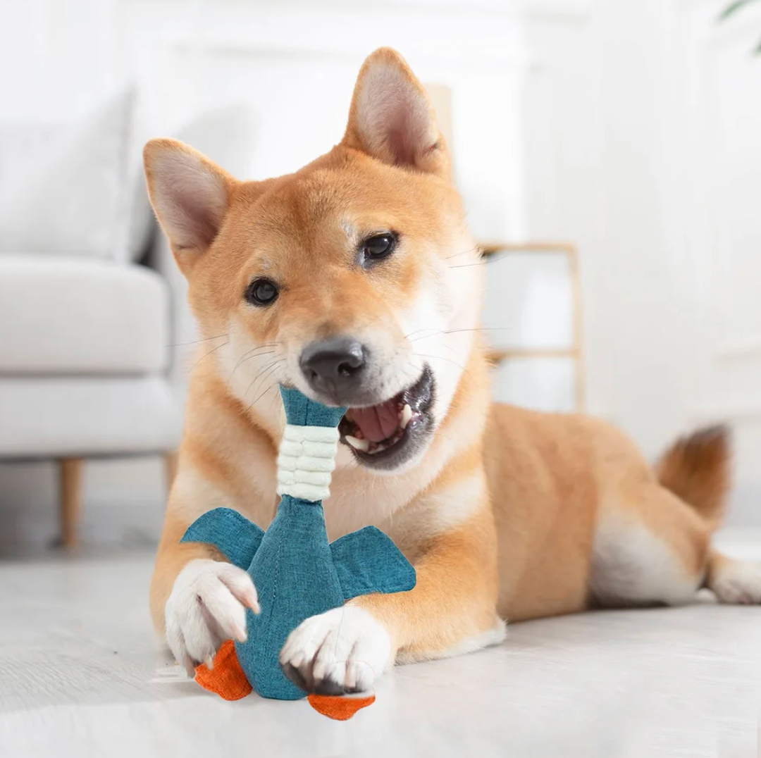 Canard Jouet pour chien