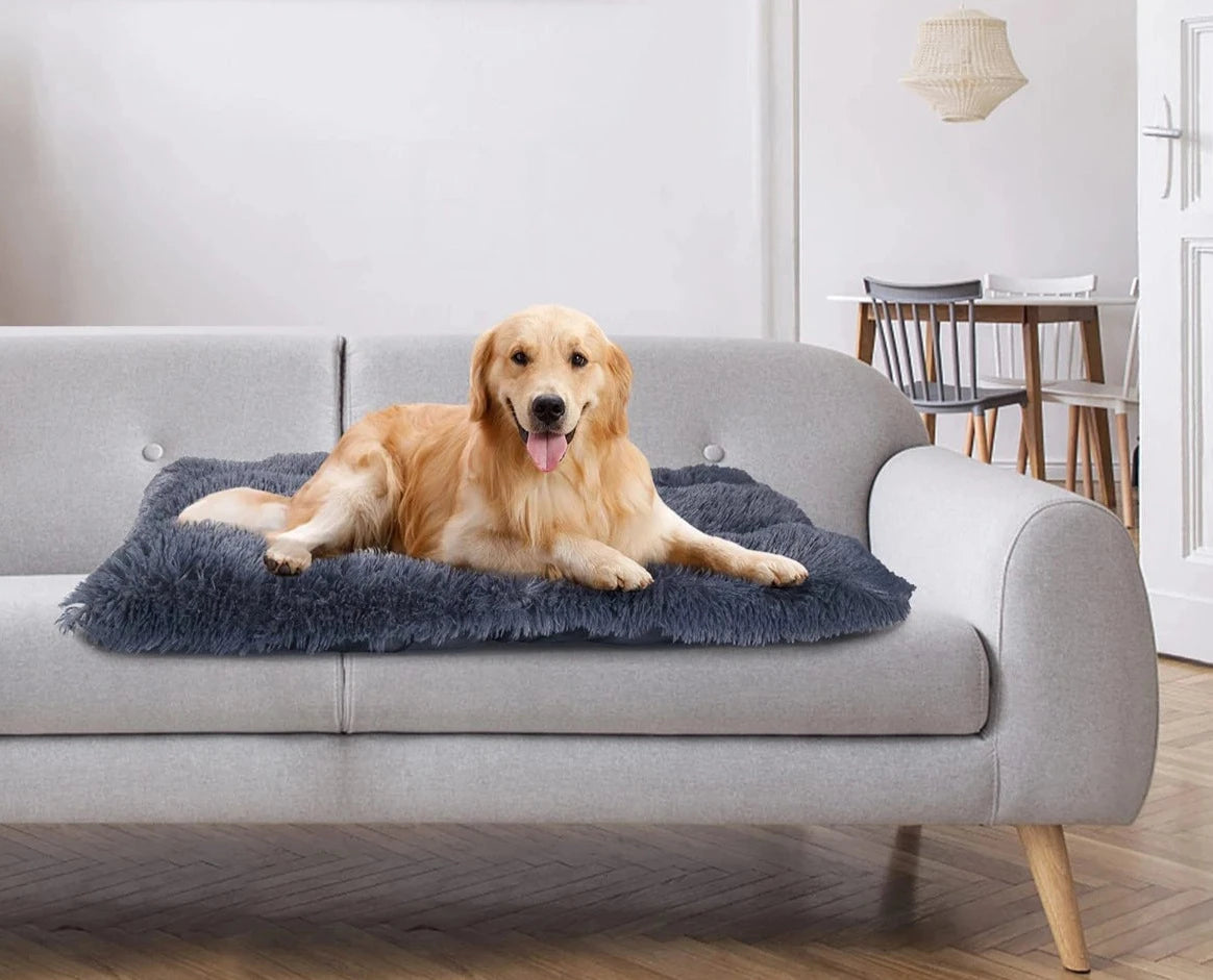 Lit chaud et confortable en peluche de grande qualité ultra douce pour chien